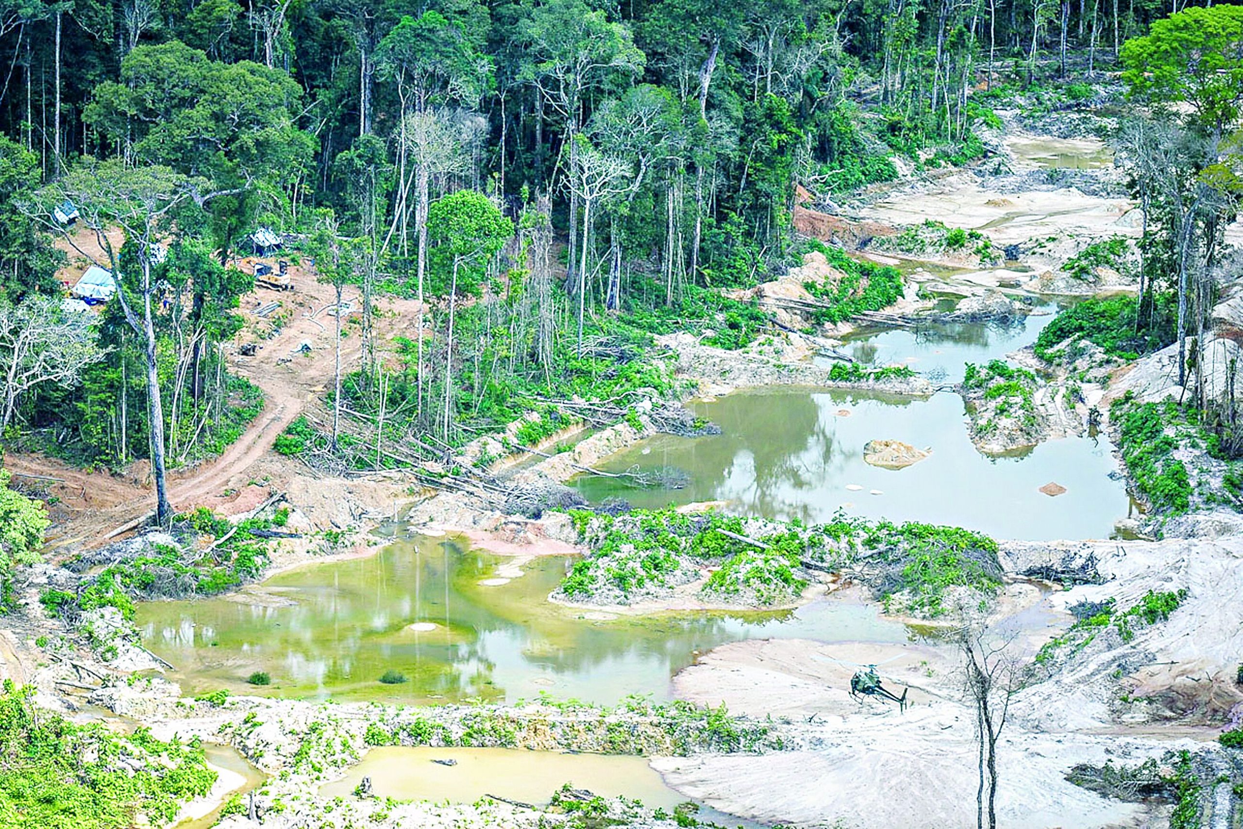 Segundo monitoramento e denúncias, as etnias Munduruku e Kayapó enfrentam invasões, degradação e contaminação em terras federais. Foto: Divulgação