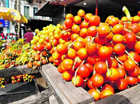 Chegou a  safra da pupunha, fruta genuinamente amazônica. As feiras estão abastecidas com os cachos pra vender cru e também já cozida. Foto: Irene Almeida/Diário do Pará.