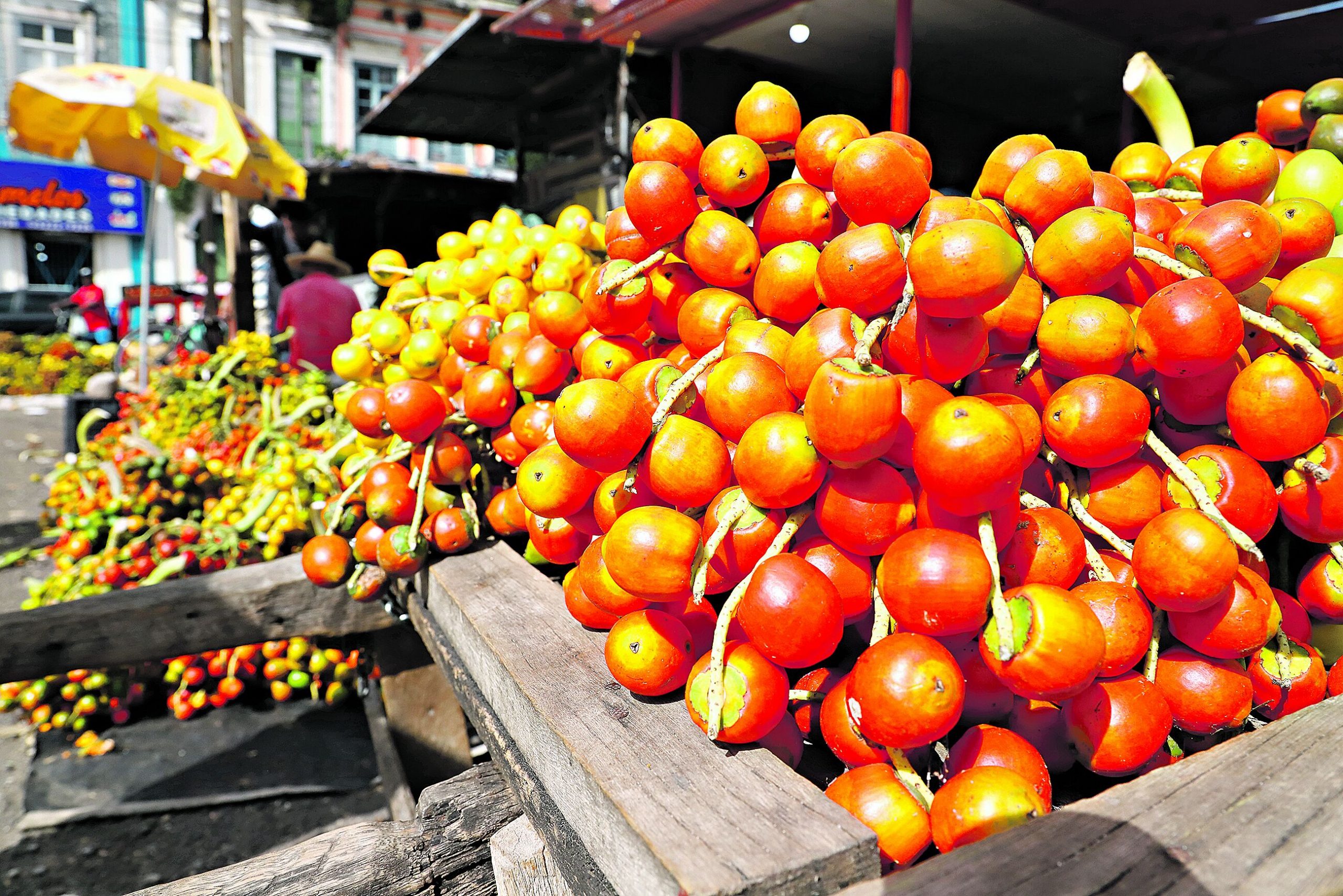 Chegou a  safra da pupunha, fruta genuinamente amazônica. As feiras estão abastecidas com os cachos pra vender cru e também já cozida. Foto: Irene Almeida/Diário do Pará.