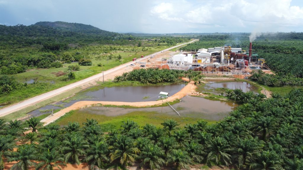 A BBF produz biocombustíveis e biomassa a partir da palma de óleo cultivada em plantio próprio. Foto: Divulgação