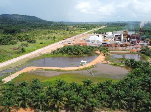 A BBF produz biocombustíveis e biomassa a partir da palma de óleo cultivada em plantio próprio. Foto: Divulgação