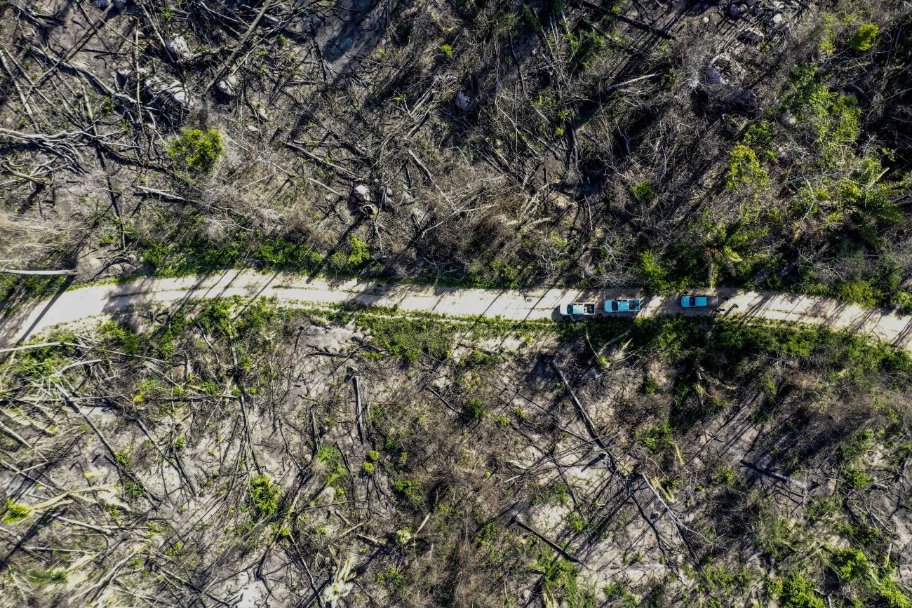 A medida possibilitará maior presença dos órgãos do Estado e fortalece o rigor no combate a ilícitos ambientais em regiões identificadas como áreas críticas. Foto: Divulgação