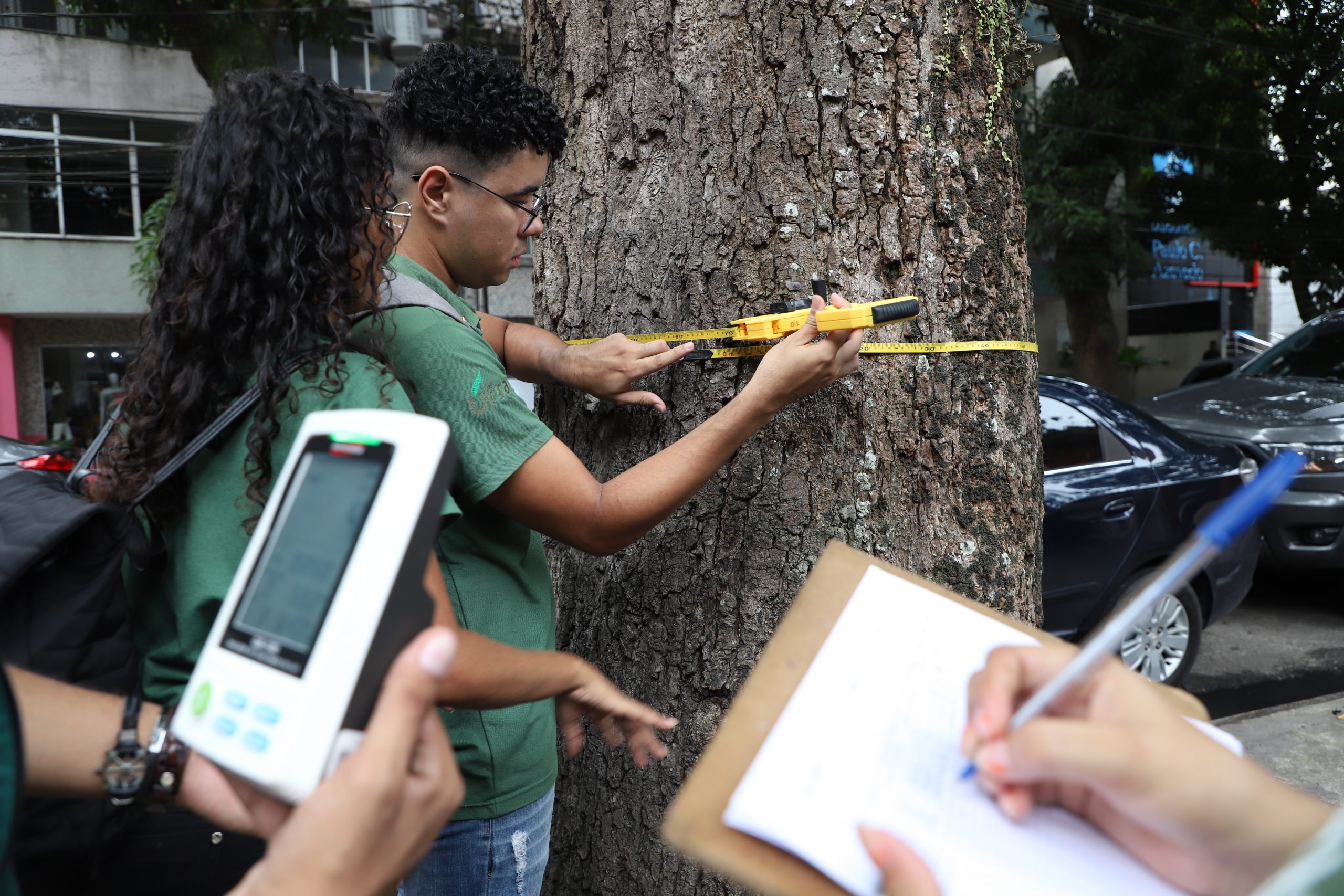 Inclinação das árvores e presença de pragas são observados. Foto-Wagner Santana/Diário do Pará.