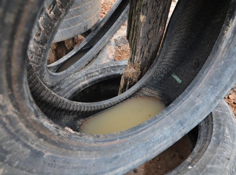 A Região Centro-Oeste do Brasil deve registrar nível epidêmico de dengue em 2024, conforme previsão divulgada nesta sexta-feira (8) pelo Ministério da Saúde
FOTO: Wagner Almeida 