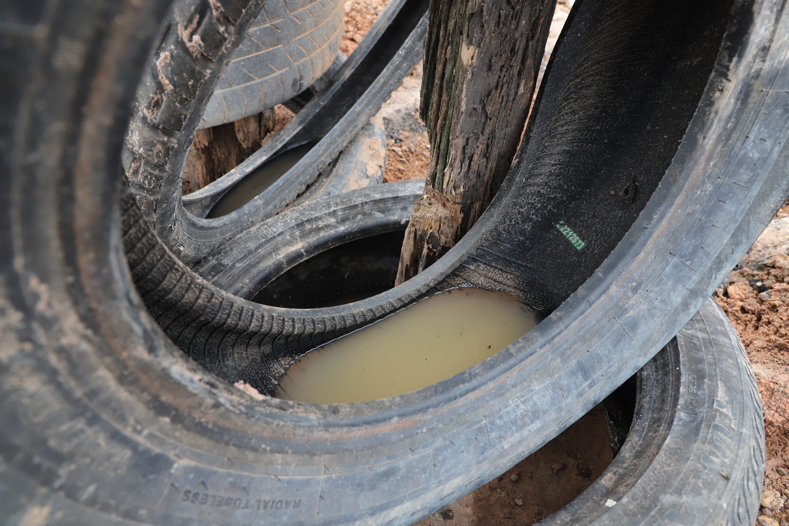 A Região Centro-Oeste do Brasil deve registrar nível epidêmico de dengue em 2024, conforme previsão divulgada nesta sexta-feira (8) pelo Ministério da Saúde
FOTO: Wagner Almeida 