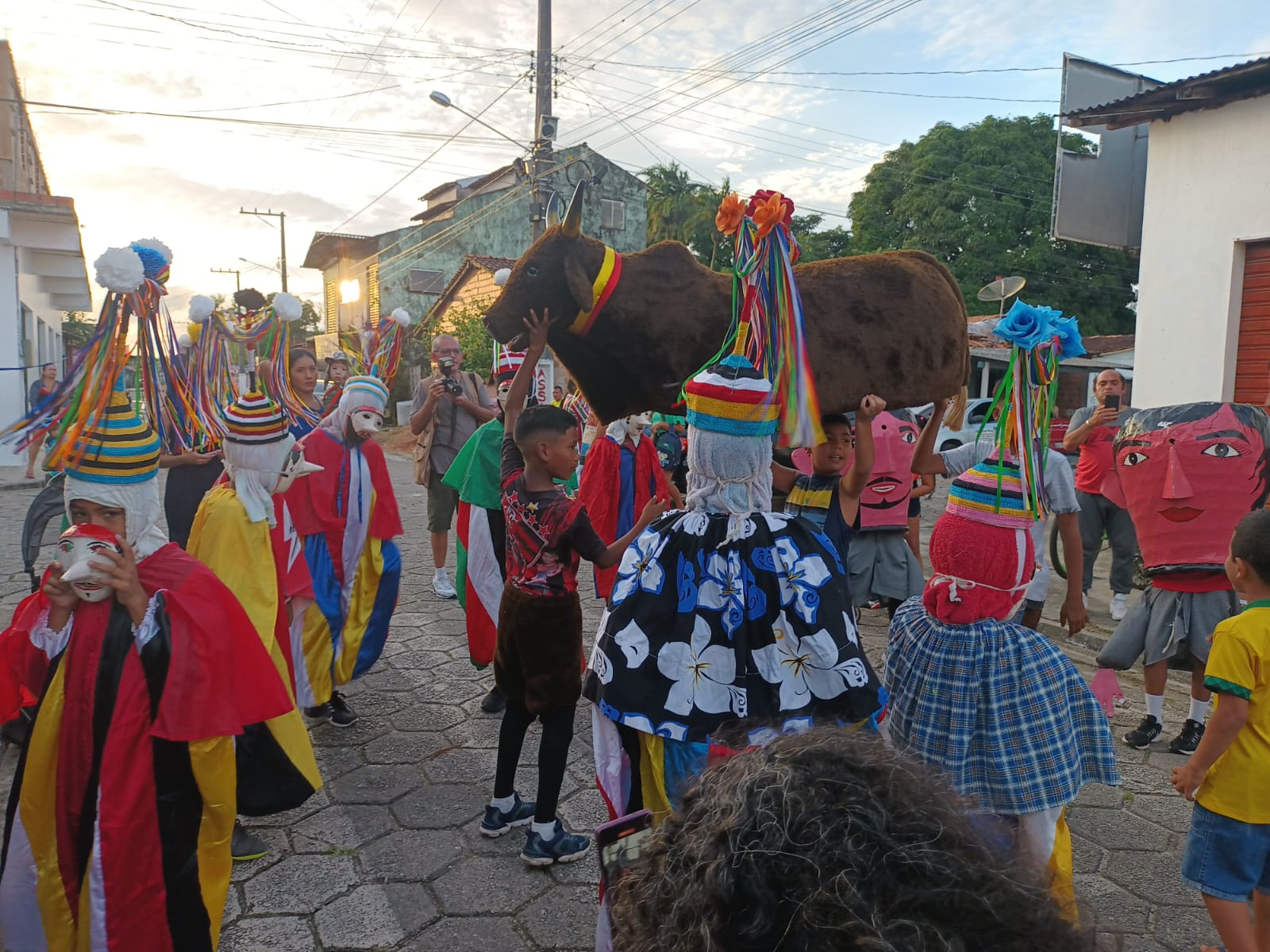 O cortejo dos bois é uma das principais atrações do carnaval paraense. Foto: Alexandre Nascimento