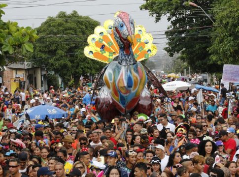 O Rabo do Peru deve atrair 200 mil foliões em Icoaraci. Foto: Wagner Santana