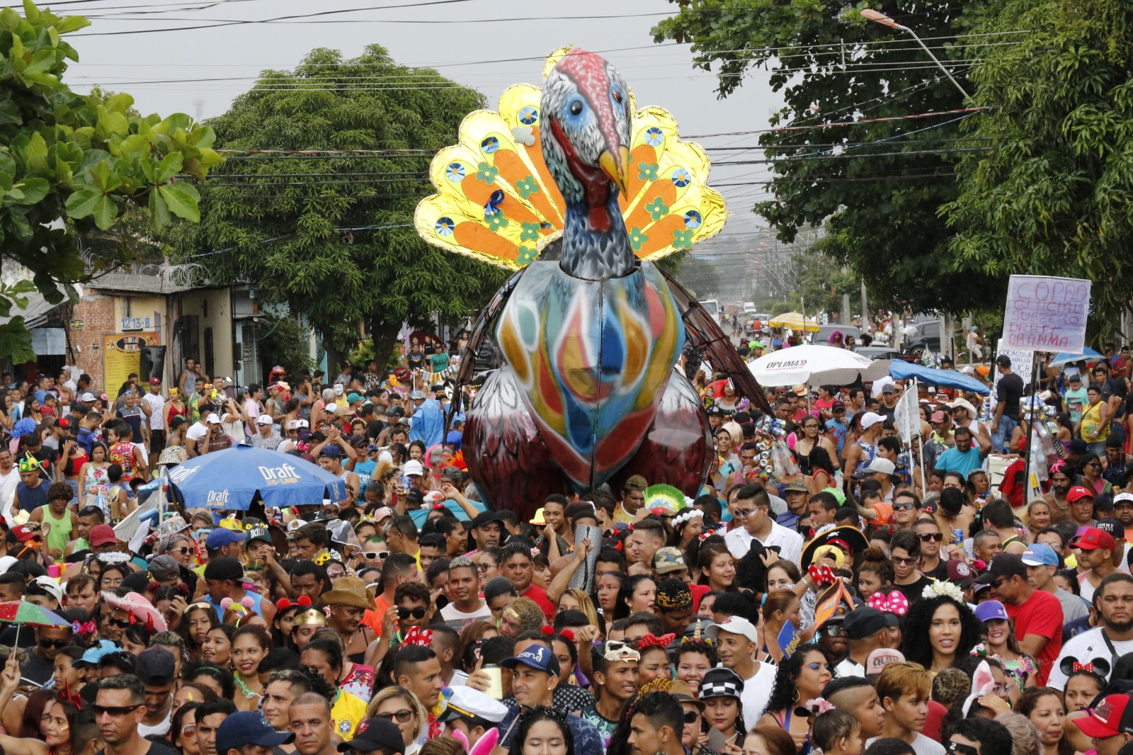 O Rabo do Peru deve atrair 200 mil foliões em Icoaraci. Foto: Wagner Santana