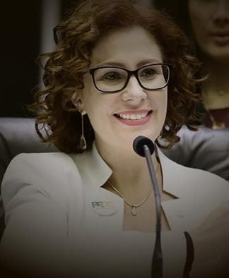 A prisão da deputada federal Carla Zambelli (PL-SP) na Itália abre um processo jurídico que pode se estender por meses até a decisão final sobre a extradição ao Brasil.