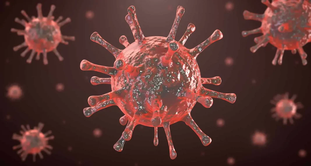 Vírus HIV. Foto: Divulgação