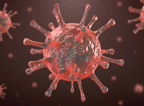 Vírus HIV. Foto: Divulgação