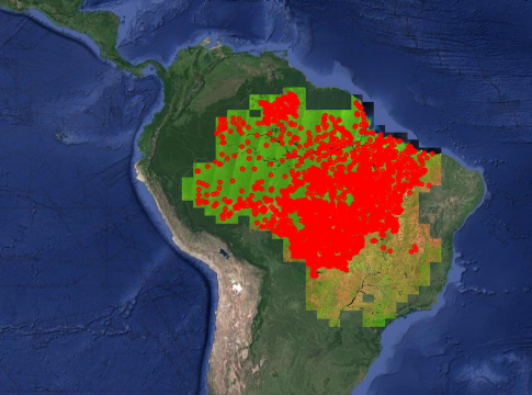 Segundo levantamento, cerca de um terço das pistas de pouso na Amazônia
está dentro de alguma área protegida. Foto: Divulgação