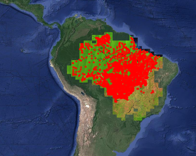 Segundo levantamento, cerca de um terço das pistas de pouso na Amazônia
está dentro de alguma área protegida. Foto: Divulgação