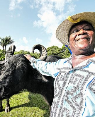 Edição homenageia Mestre Damasceno e Wanda Monteiro, com foco na diversidade cultural e na sustentabilidade