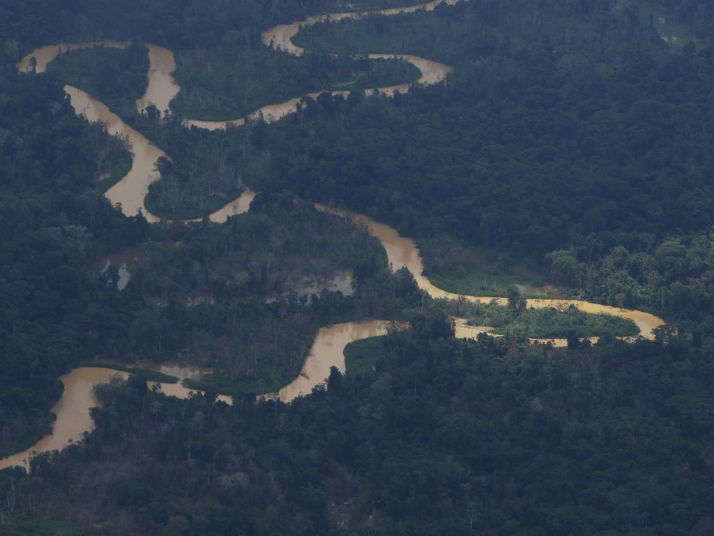 Terra Indígena Yanomami. Foto: Fernando Frazão/Agência Brasil