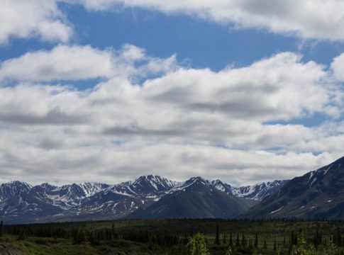 Foto: Ashley Bilbrey/Pexels