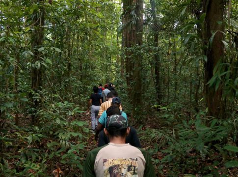 O Instituto de Desenvolvimento Florestal e da Biodiversidade do Estado do Pará (IDEFLOR-Bio) vai abrir inscrições para o 9º Processo Seletivo Simplificado