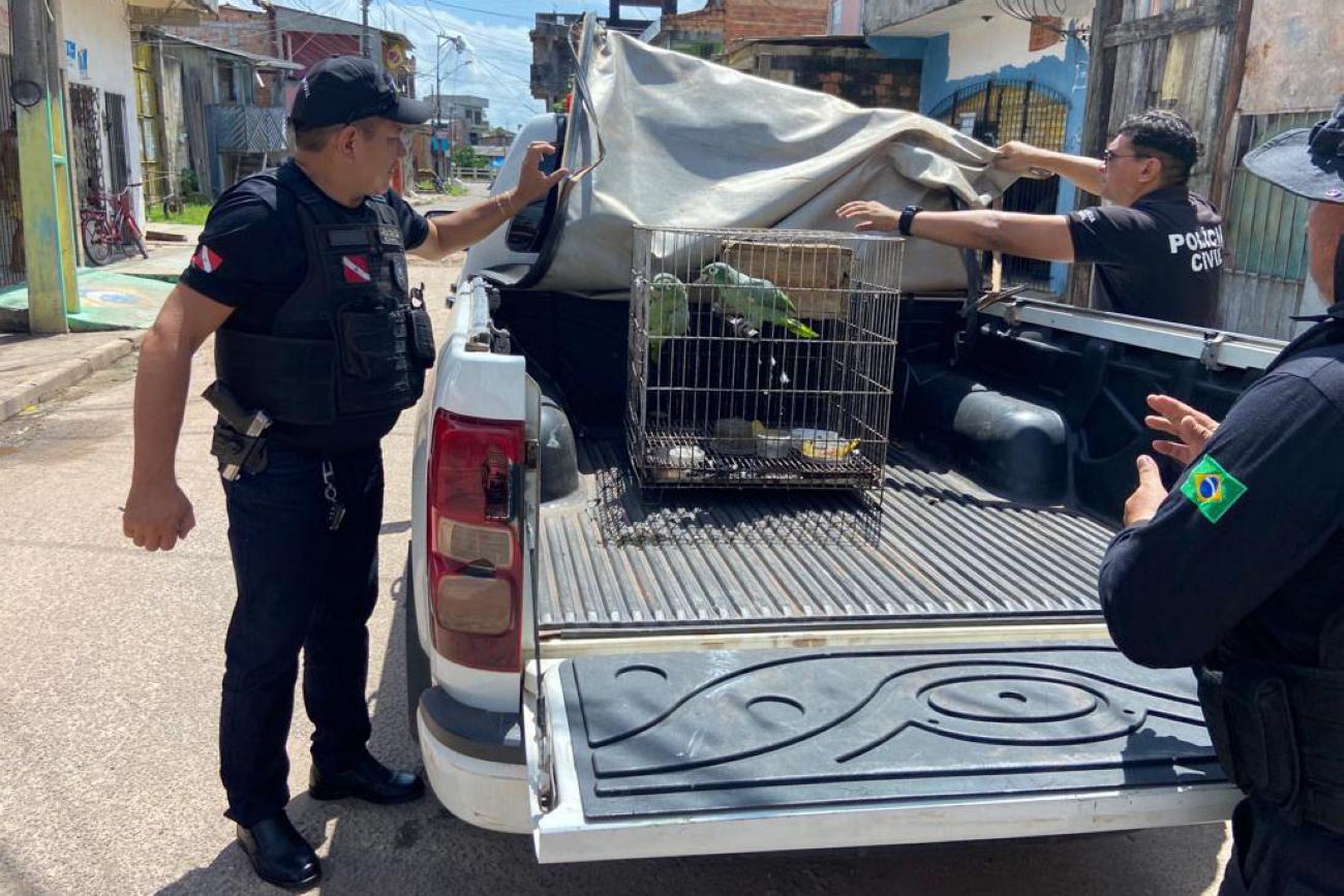 Quarenta ocorrências oriundas do Disque Denúncia 181 foram apuradas nos bairros Bengui, Coqueiro, Cremação, Fátima, Guamá, Jurunas, Marambaia, Marco, Pedreira e Sacramenta, e ainda no distrito de Icoaraci. Foto: Foto: Talison Lima / Ascom PCPA
