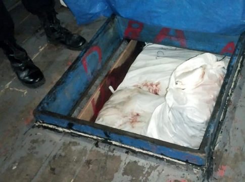 Operação, apreendeu uma tonelada de pescado da espécie mapará, que está no período de reprodução. Foto: Agência Pará