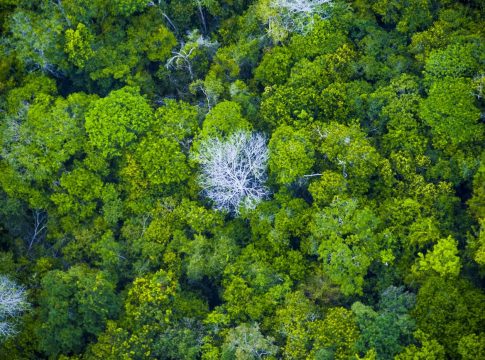 No decorrer dos dias, painéis de especialistas e mesas redondas
temáticas facilitarão debates significativos e gerarão ideias inovadoras. Foto: Agência Pará