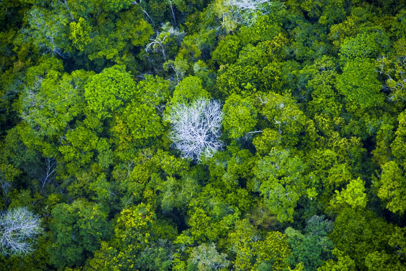 No decorrer dos dias, painéis de especialistas e mesas redondas
temáticas facilitarão debates significativos e gerarão ideias inovadoras. Foto: Agência Pará