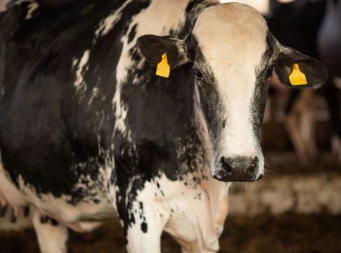 Diferentes das campanhas anteriores, não haverá prorrogação desta etapa que deve ocorrem de 1º a 30 de abril

Foto: Agência Brasil
