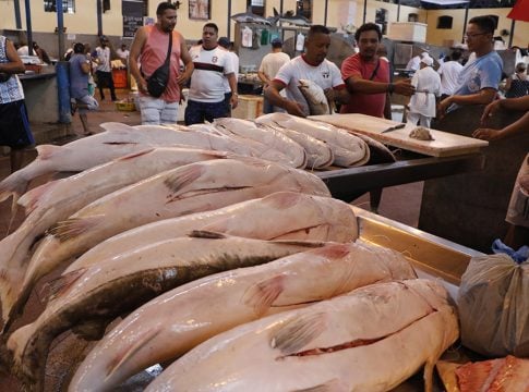 A programação acontece nesta quarta-feira e quinta-feira (27 e 28/03) em mais de 50 municípios do Estado, entre os quais, a capital paraense que estará com quatro pontos de venda. Foto: Celso Rodrigues/ Diário do Pará.