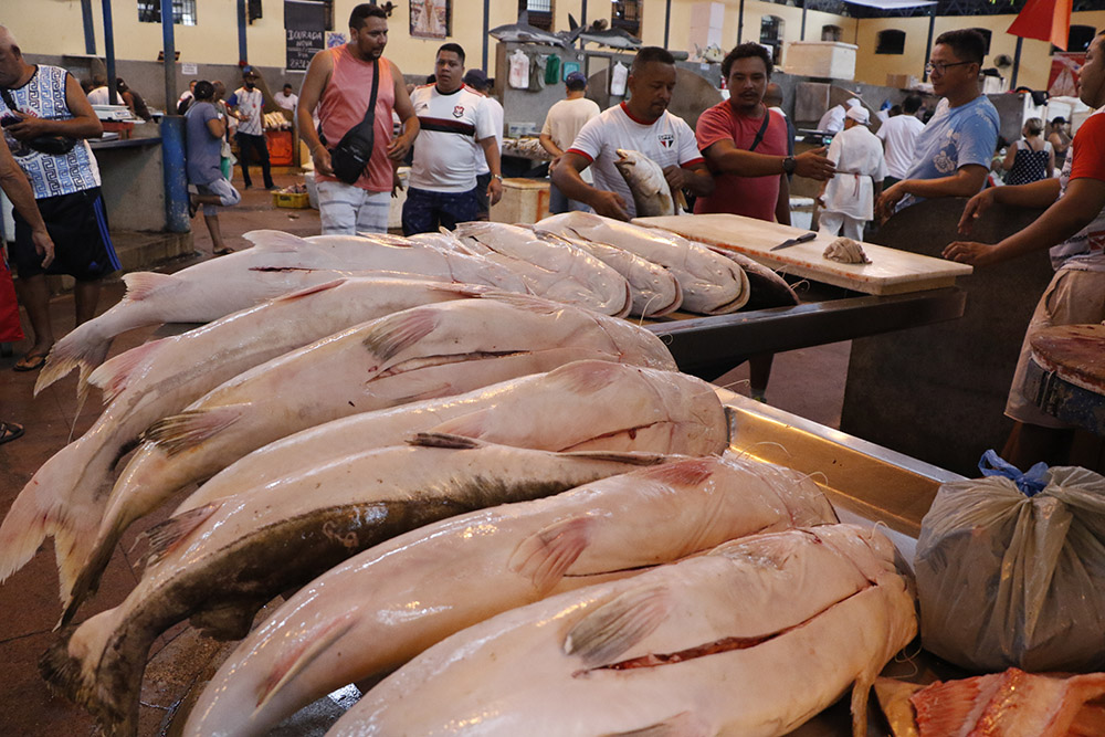 A programação acontece nesta quarta-feira e quinta-feira (27 e 28/03) em mais de 50 municípios do Estado, entre os quais, a capital paraense que estará com quatro pontos de venda. Foto: Celso Rodrigues/ Diário do Pará.