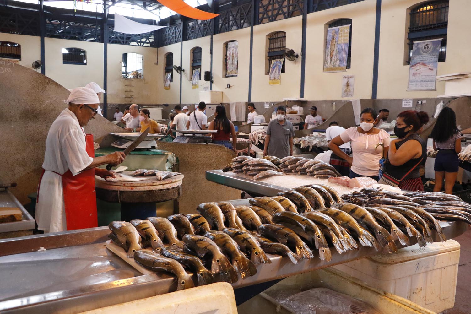 Pesquisa da Prefeitura de Belém identifica primeira queda do ano no preço do peixe na capital. Foto: Celso Rodrigues/ Diário do Pará.