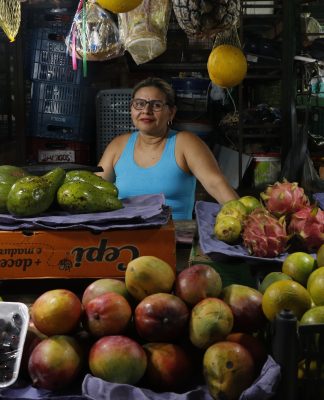 Mulheres chefiam mais de 1,2 milhão de lares no Pará