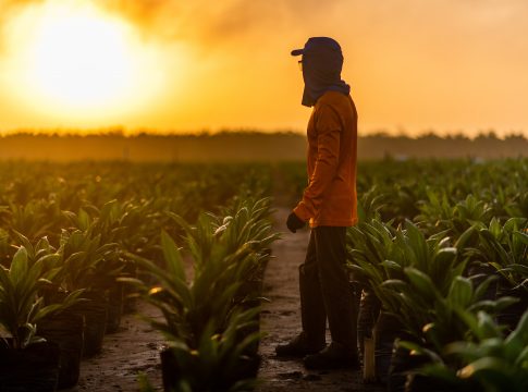 Agropalma apresenta seu novo Relatório de Sustentabilidade