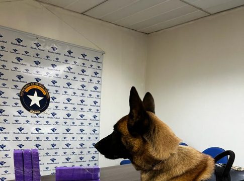 A apreensão foi realizada na última segunda feira (06) pela equipe K9 da Alfândega de Belém e contou com a ajuda de um cão. Foto: Divulgação