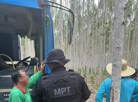 Oito propriedades rurais foram fiscalizadas na região dos municípios de Paragominas, Vigia de Nazaré e Ulianópolis em força-tarefa realizada de 23 de fevereiro a 3 de março de 2023. Foto: MPT/divulgação