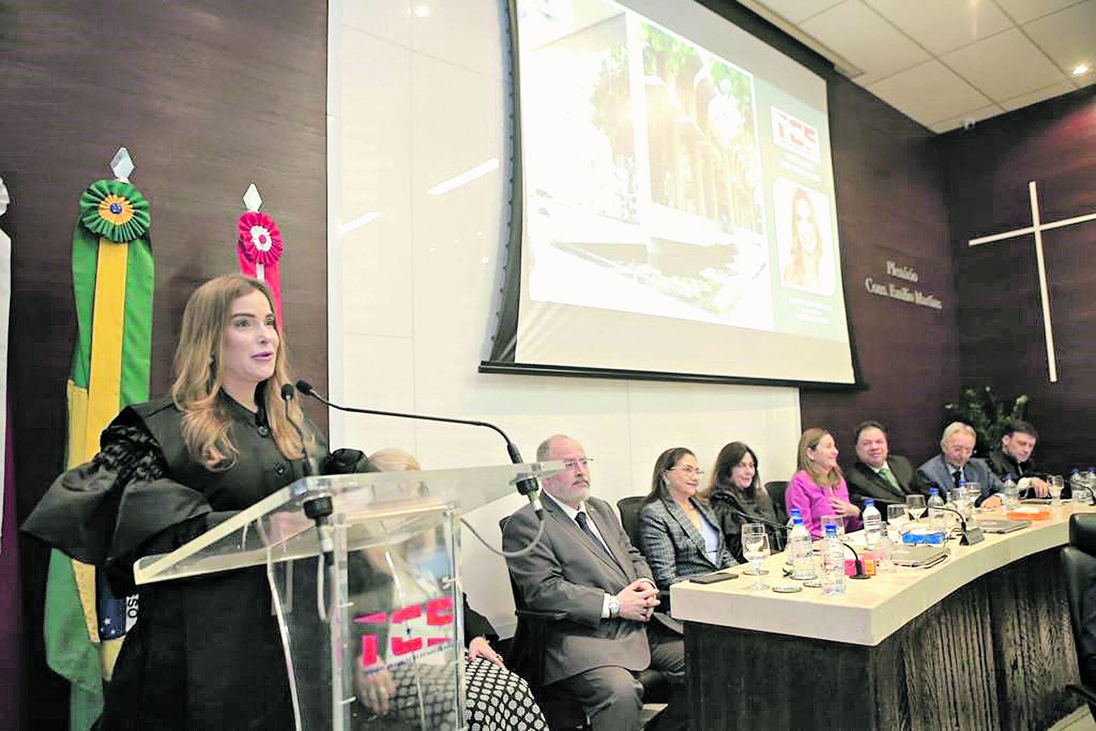 A nova conselheira disse, em seu discurso, que irá trabalhar para garantir a justiça e equidade social. Foto: Baltazar Costa