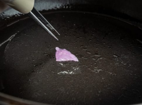 Tecnologia pode ser adaptada na reprodução de tecido humano para enxertos e como alternativa a testes de medicamentos em animais. Foto: Divulgação
