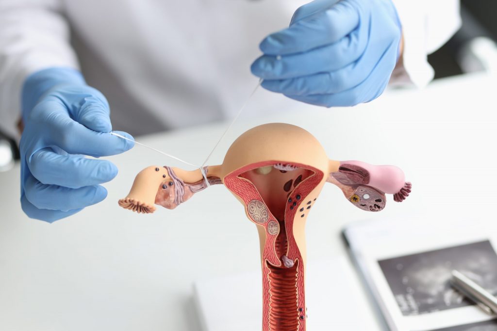 SUS oferta de maneira gratuita vários métodos que ajudam com os cuidados relacionados aos direitos reprodutivos. Foto: Divulgação
SUS oferta de maneira gratuita vários métodos que ajudam com os cuidados relacionados aos direitos reprodutivos. Foto: Divulgação