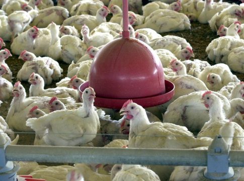 O decreto tem duração de 180 dias e nesse período a ADEPARÁ editará as normas complementares ao seu cumprimento, que abrangerão as ações conjuntas com diversos órgão.