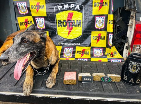 Com apoio de um cão farejador do BAC, os agentes conseguiram encontrar os tabletes de maconha. Foto: Divulgação/PMPA