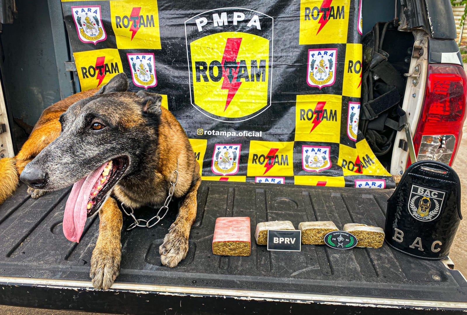 Com apoio de um cão farejador do BAC, os agentes conseguiram encontrar os tabletes de maconha. Foto: Divulgação/PMPA