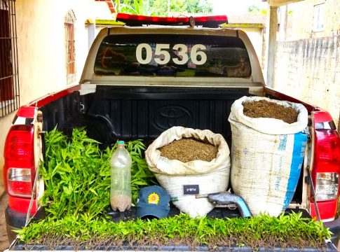 Militares realizavam rondas ostensivas quando receberam a informação de que na zona rural do município estaria um possível plantio de maconha. Foto: PMPA