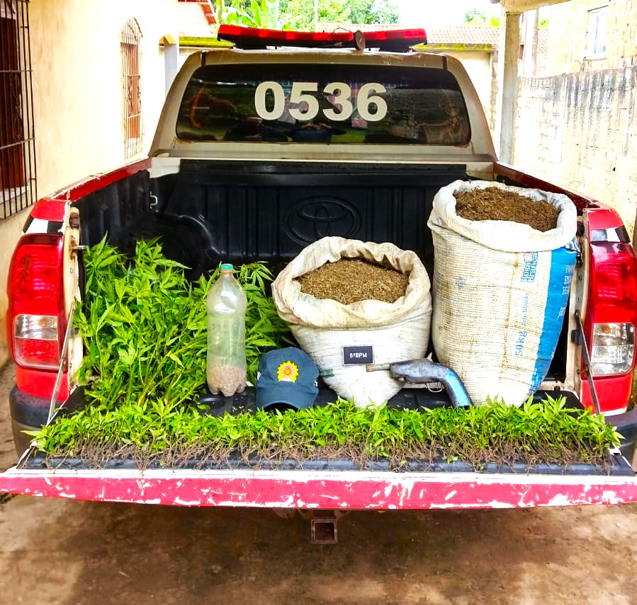 Militares realizavam rondas ostensivas quando receberam a informação de que na zona rural do município estaria um possível plantio de maconha. Foto: PMPA