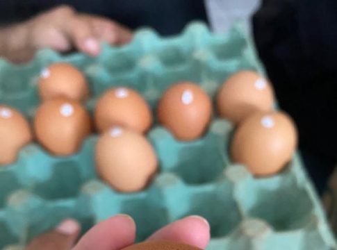 Descubra a disparidade nos preços dos ovos no mercado dos Estados Unidos e suas causas, incluindo contratos de distribuição.