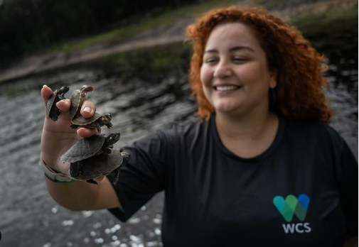 A jornalista amazonense Marina Souza Salviati, especialista em Comunicação da WCS Brasil, morreu na última sexta-feira,