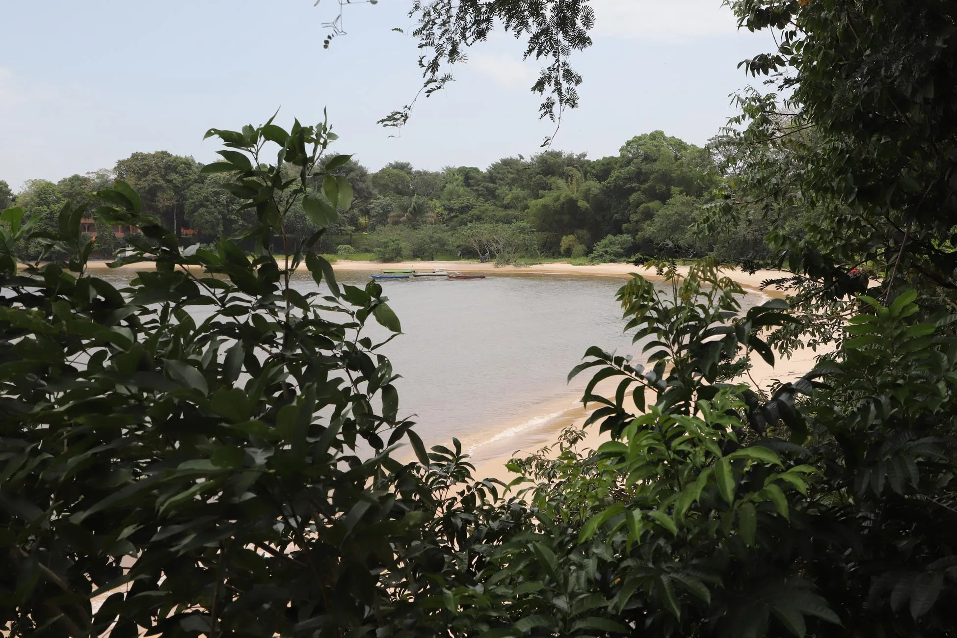 Menos badalada que o Combu, mas tão exuberante quanto, Cotijuba é um convite a se desligar do agito do centro da capital. Foto: Mauro Ângelo/ Diário do Pará.