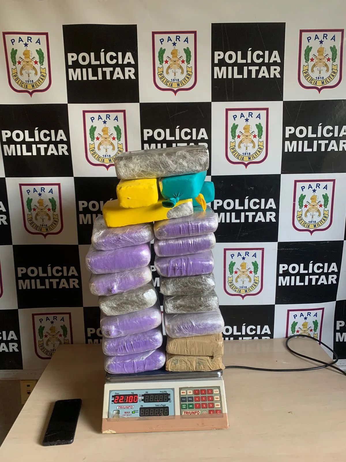 Droga apreendida na Operação Sucuri II. (Foto: Divulgação/PMPA)