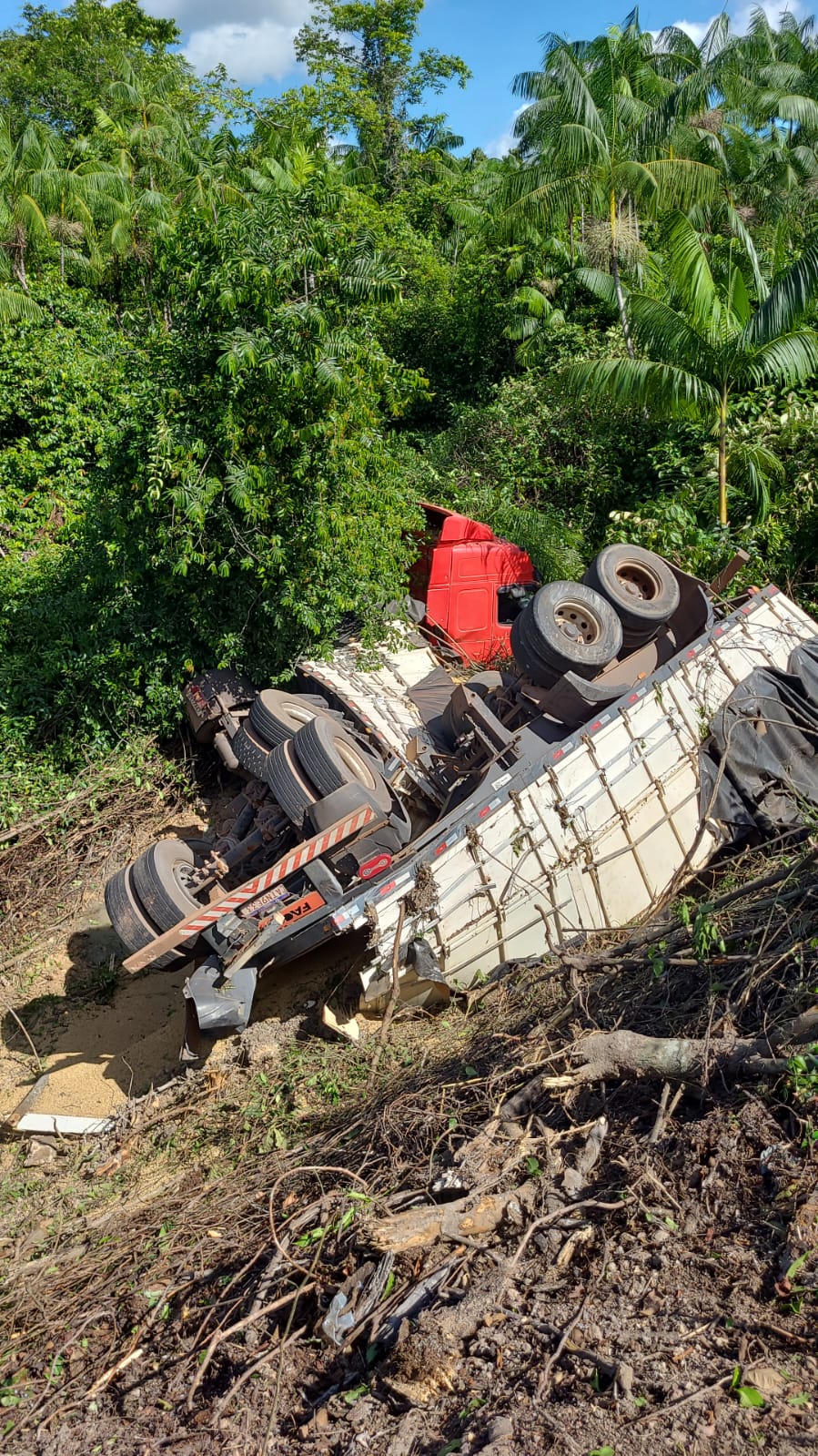 Tragédia na BR-010: Idosa morre em acidente fatal em Ipixuna do Pará