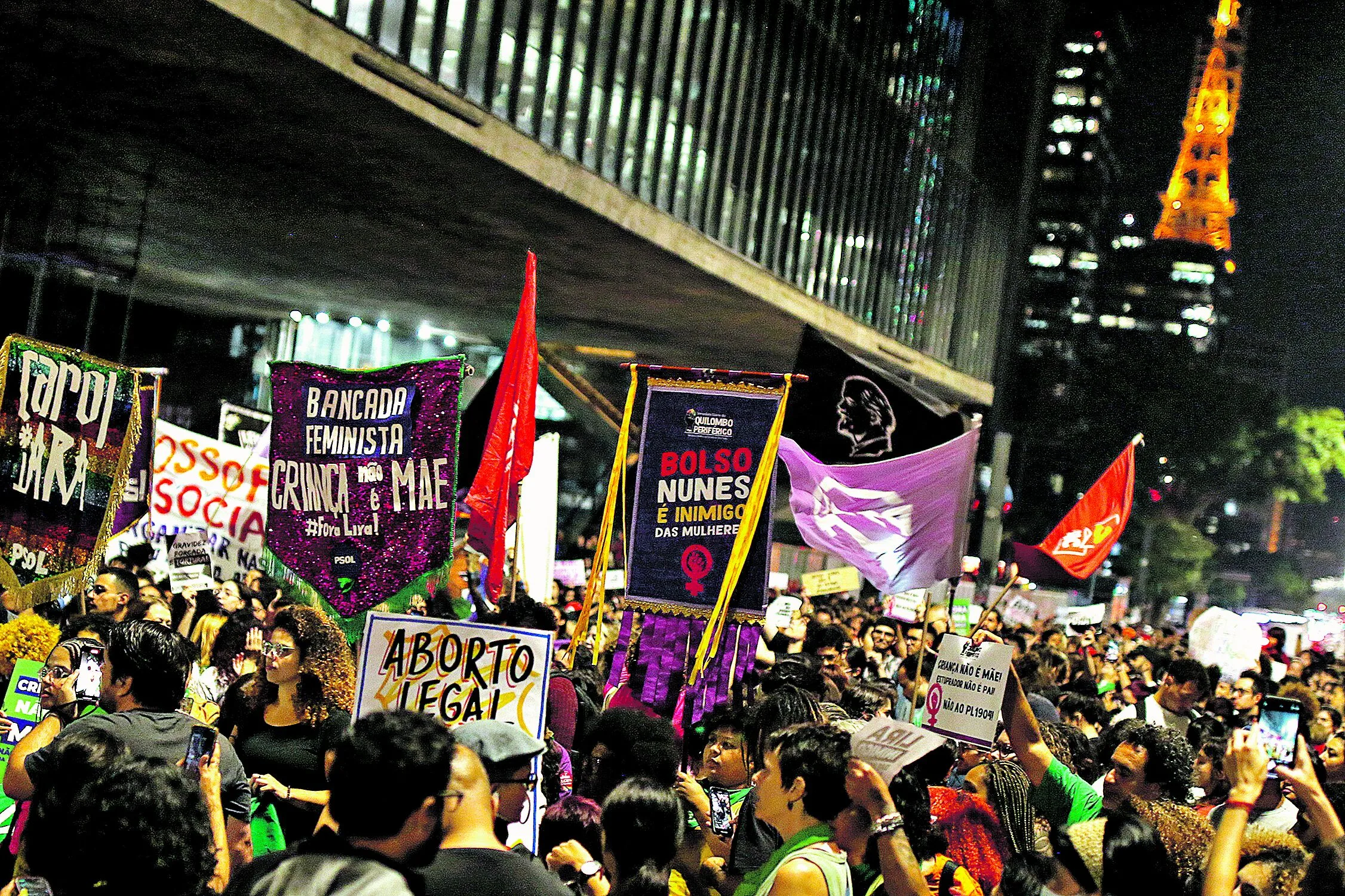 Segundo advogada, a Câmara dos Deputados não pode aprovar leis contra as mulheres sem debate e sem levar em conta os direitos adquiridos, principalmente em caso de meninas vítimas de violência sexual Foto: Ian Maenfeld /Fotoarena/Folhapress) ORG XMIT: 2554966