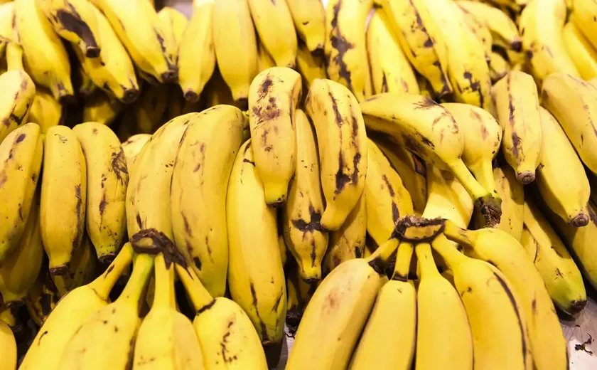 Embora a banana seja uma fruta saborosa e nutritiva, seu consumo em excesso não é recomendado para certas pessoas.

Foto: Reprodução