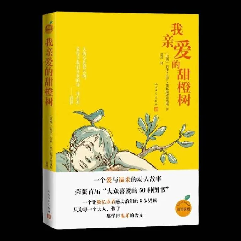 Capa da nova edição chinesa de 'O Meu Pé de Laranja Lima', lançada em maio de 2024 - Divulgação