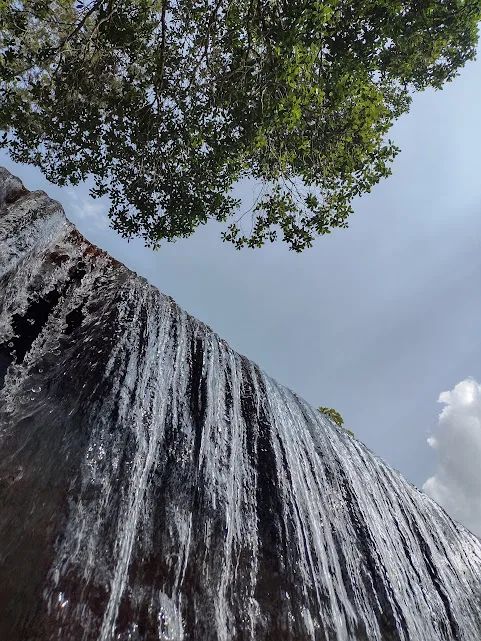 Os igarapés de Santo Antônio do Tauá são pequenos cursos d'água que fluem pela floresta amazônica, criando cenários de rara beleza.